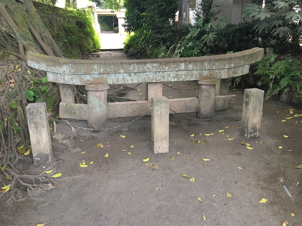 f:id:dolphin400sf:20251108163700j:image