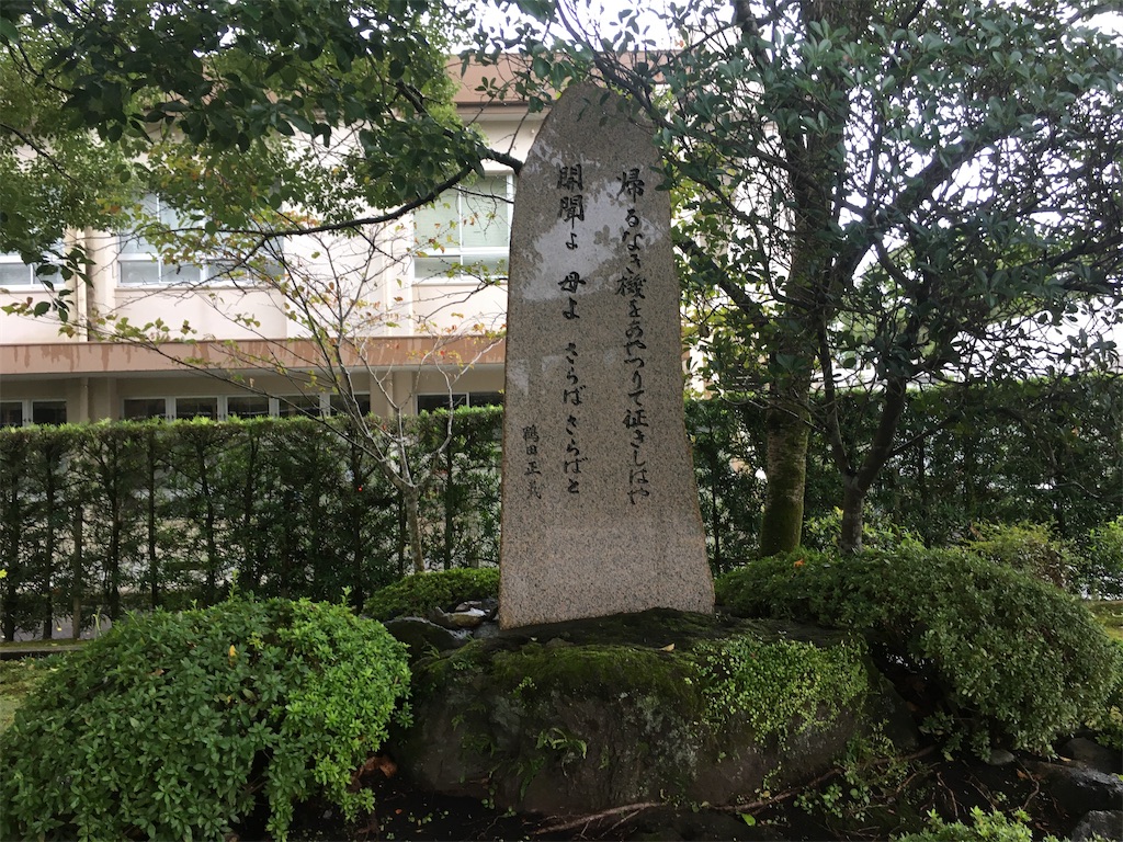 f:id:dolphin400sf:20251108205113j:image