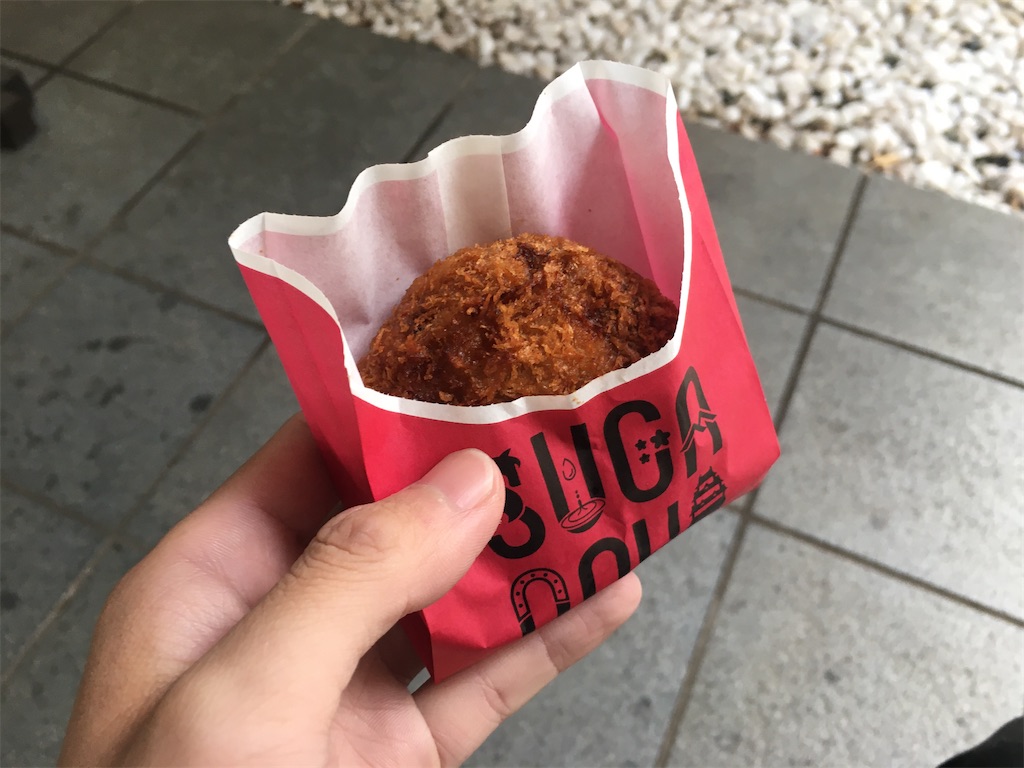 f:id:dolphin400sf:20251111081002j:image