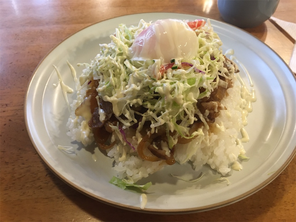 f:id:dolphin400sf:20251112094347j:image