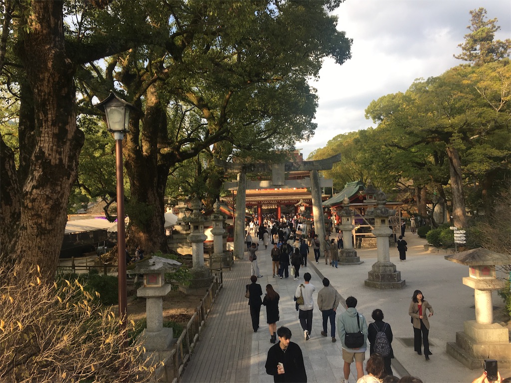 f:id:dolphin400sf:20251112100244j:image