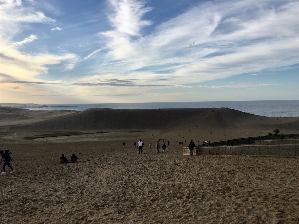 f:id:dolphin400sf:20251114112427j:image