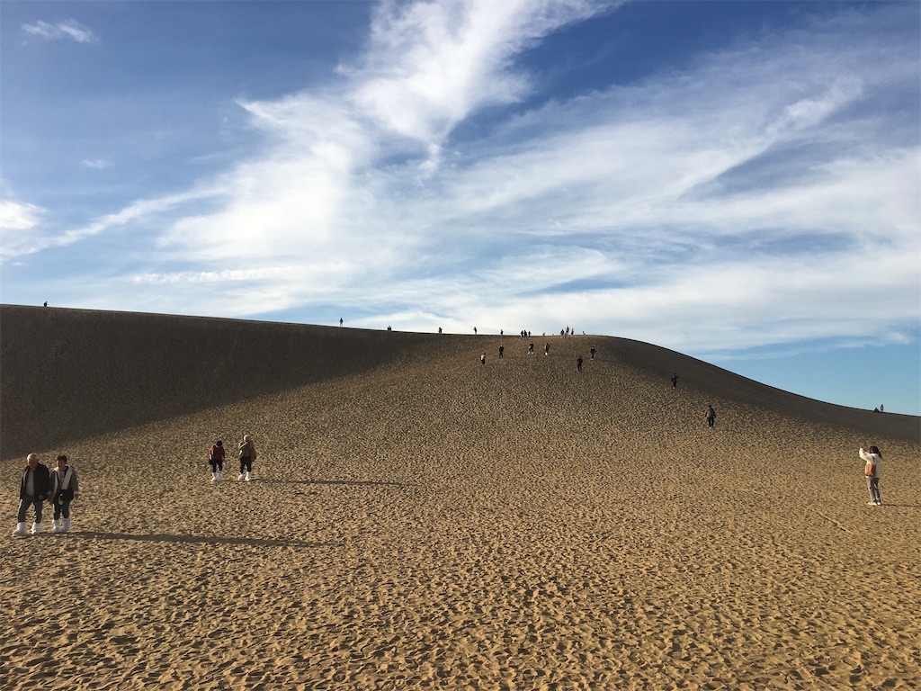 f:id:dolphin400sf:20251114112433j:image