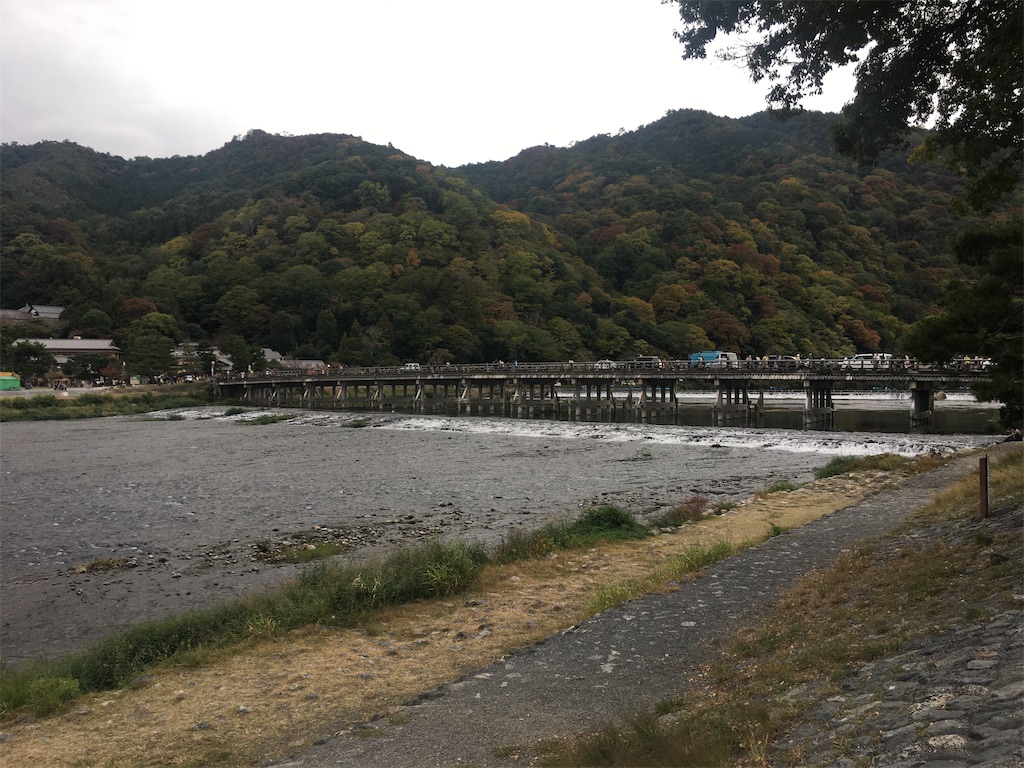 f:id:dolphin400sf:20251117142140j:image