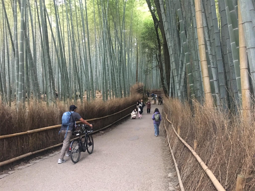 f:id:dolphin400sf:20251117144635j:image