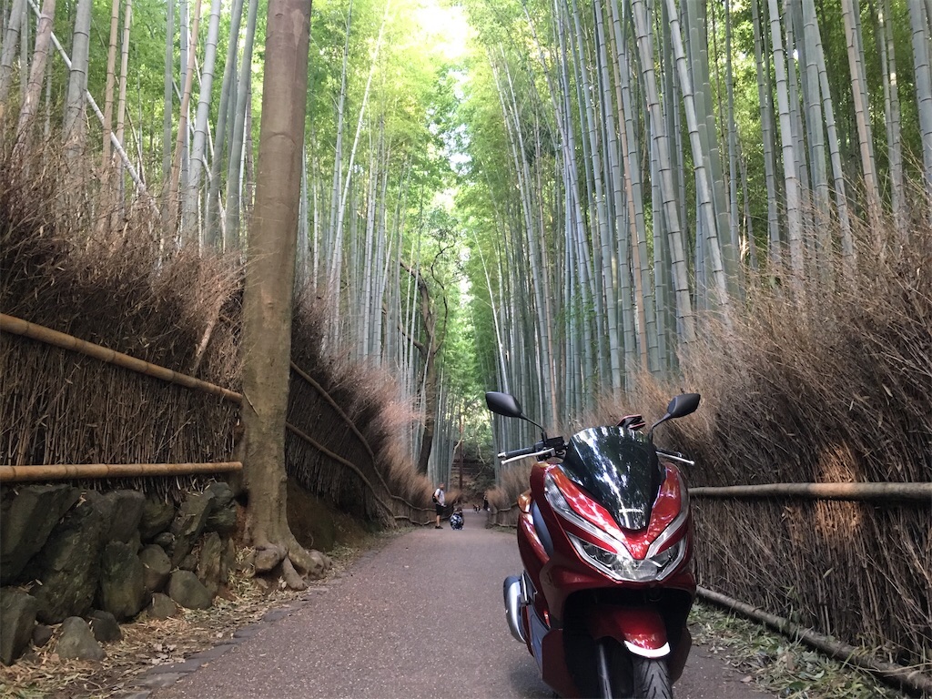 f:id:dolphin400sf:20251117150101j:image