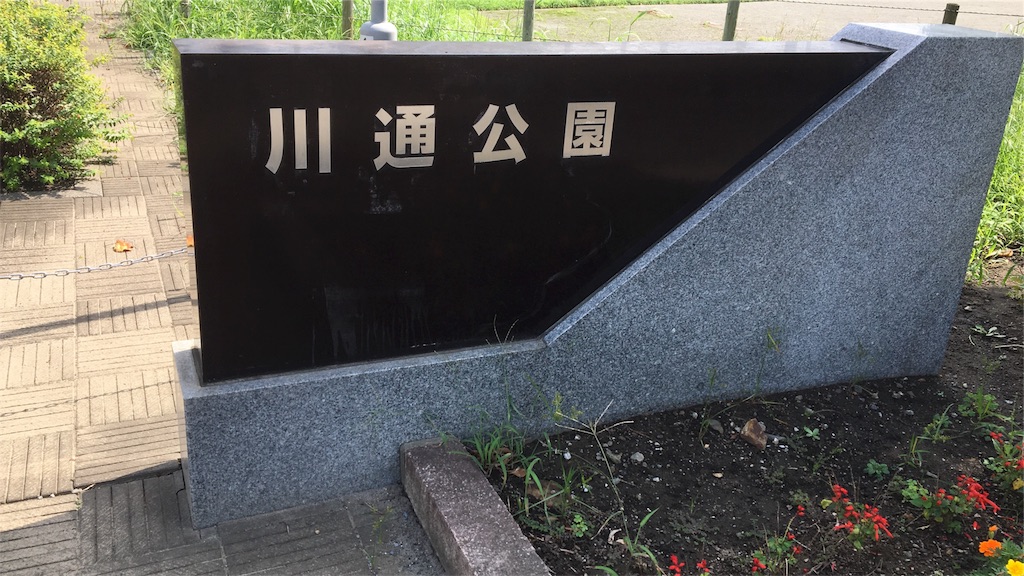 東京新大学野球秋季リーグ戦 杏林大ー流通経済大 観戦記 どる W のスポーツ観戦記