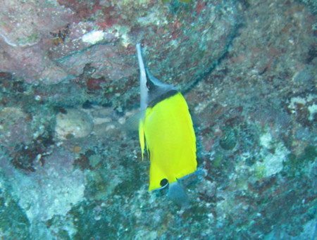 f:id:dolphin98:20120903203202j:image