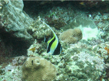 f:id:dolphin98:20120903204011j:image