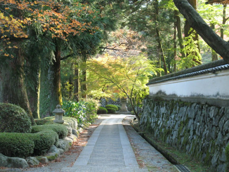 f:id:dolphin98:20121121204057j:image