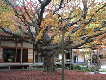 f:id:dolphin98:20121121204058j:image