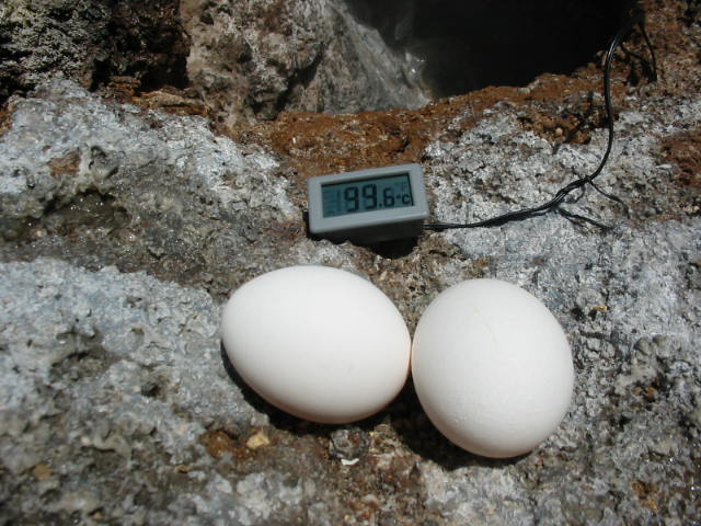 f:id:doluck2007:20120724103405j:image:w360