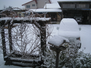 f:id:doluck2007:20161103101012j:image:w360