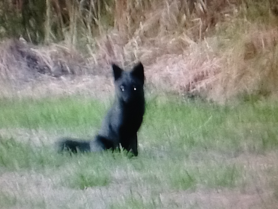 f:id:doluck2007:20191009155135j:plain