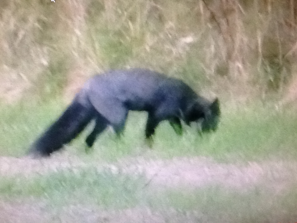 f:id:doluck2007:20191009155214j:plain