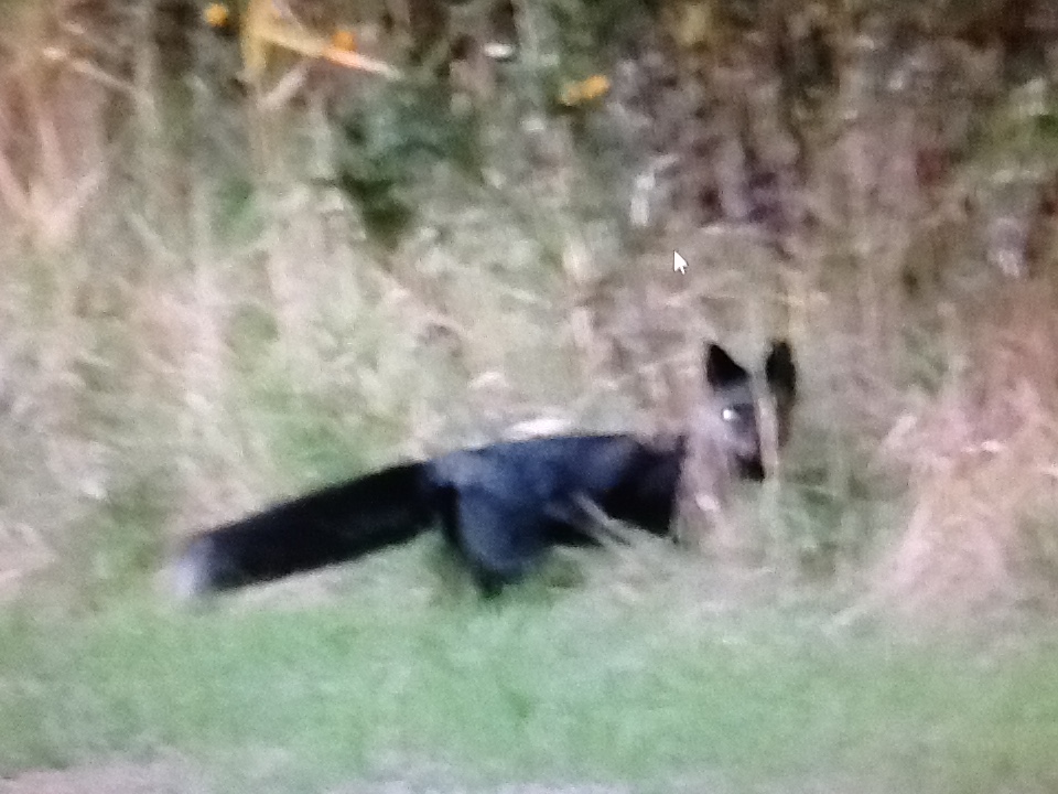 f:id:doluck2007:20191009155304j:plain