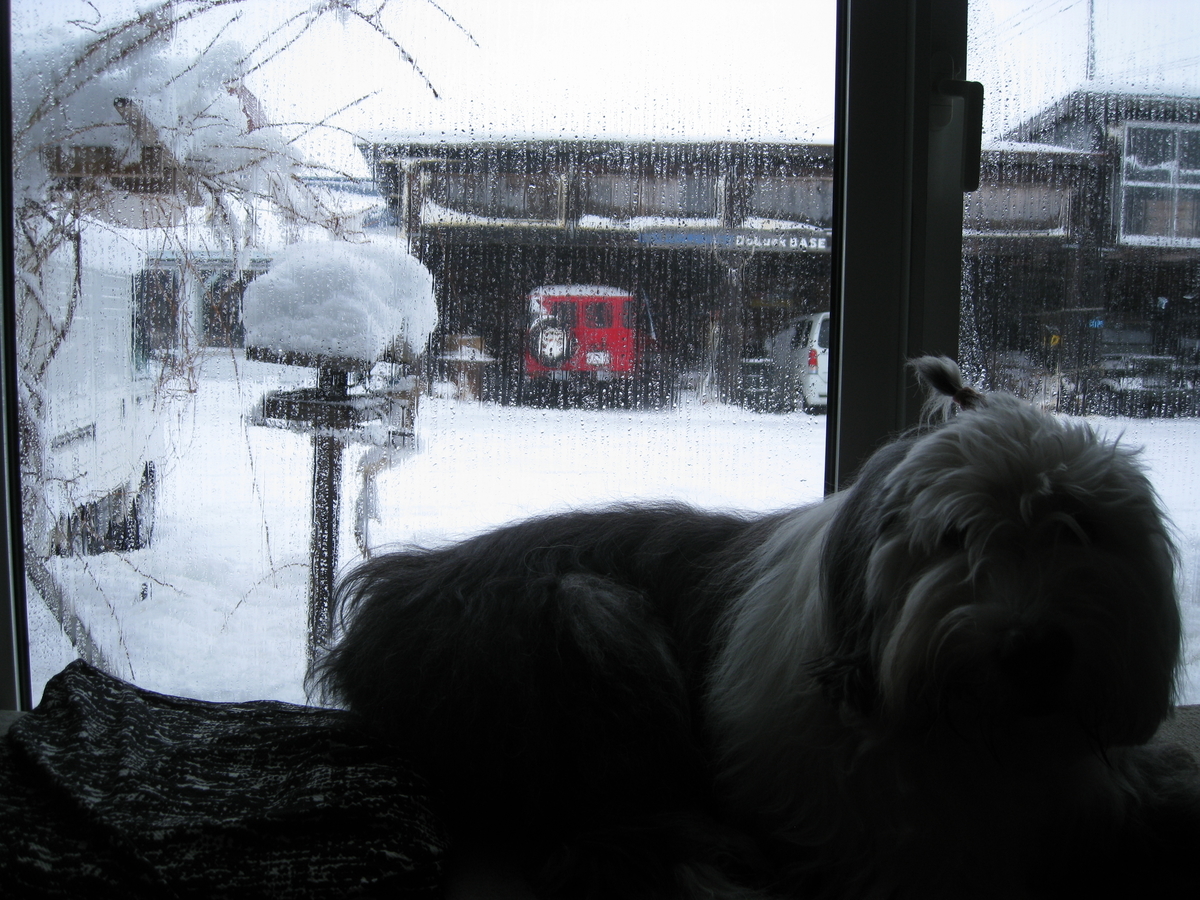 f:id:doluck2007:20200130121020j:plain