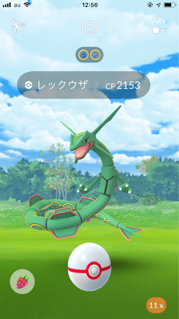 新たなシャドウとレックウザ どるおですよ 新たなシャドウとレックウザ どるおですよ