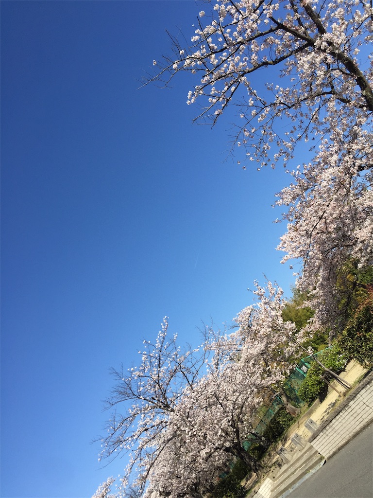f:id:domingo55:20190414012727j:image f:id:domingo55:20190414012727j:image