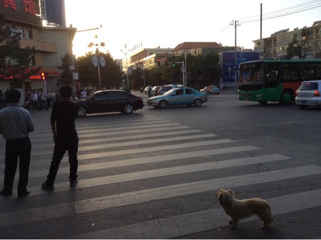 f:id:domodomodomo:20140910164642j:plain f:id:domodomodomo:20140910164642j:plain