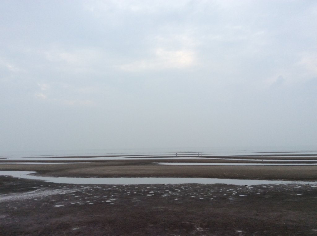 f:id:domodomodomo:20161019170023j:plain