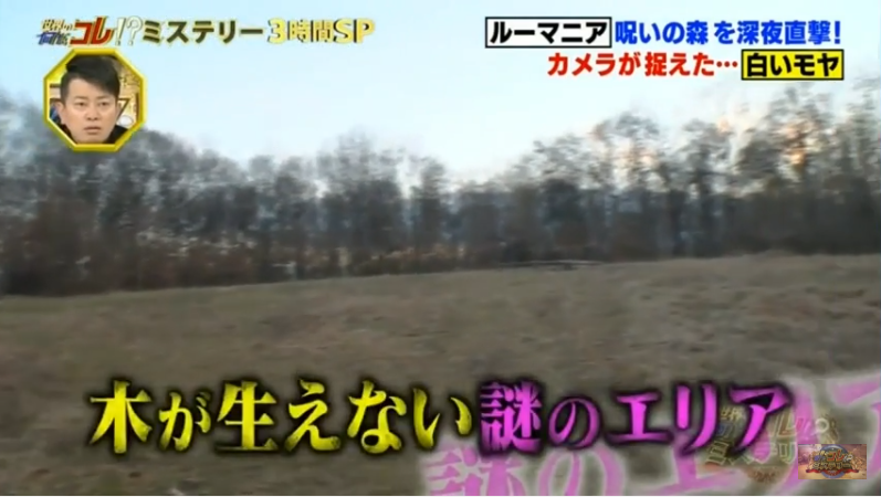 世界の何だコレ ミステリー3hsp プマプンク遺跡 他 どんぺりもってこい