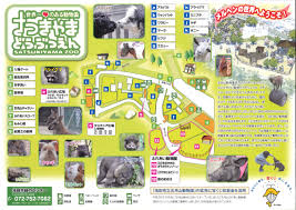 f:id:don-3254:20201120005609j:plain