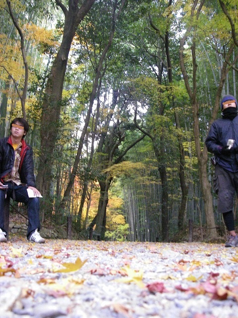 f:id:don2gogogo:20180802143019j:plain