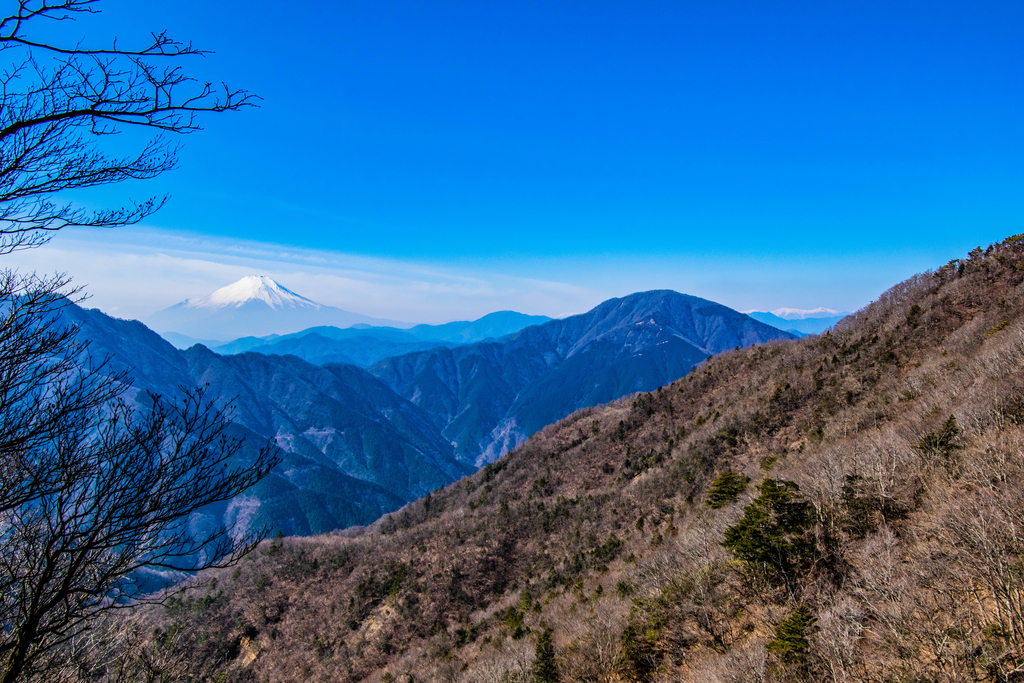 f:id:donPsato:20190221142923j:plain f:id:donPsato:20190221142923j:plain