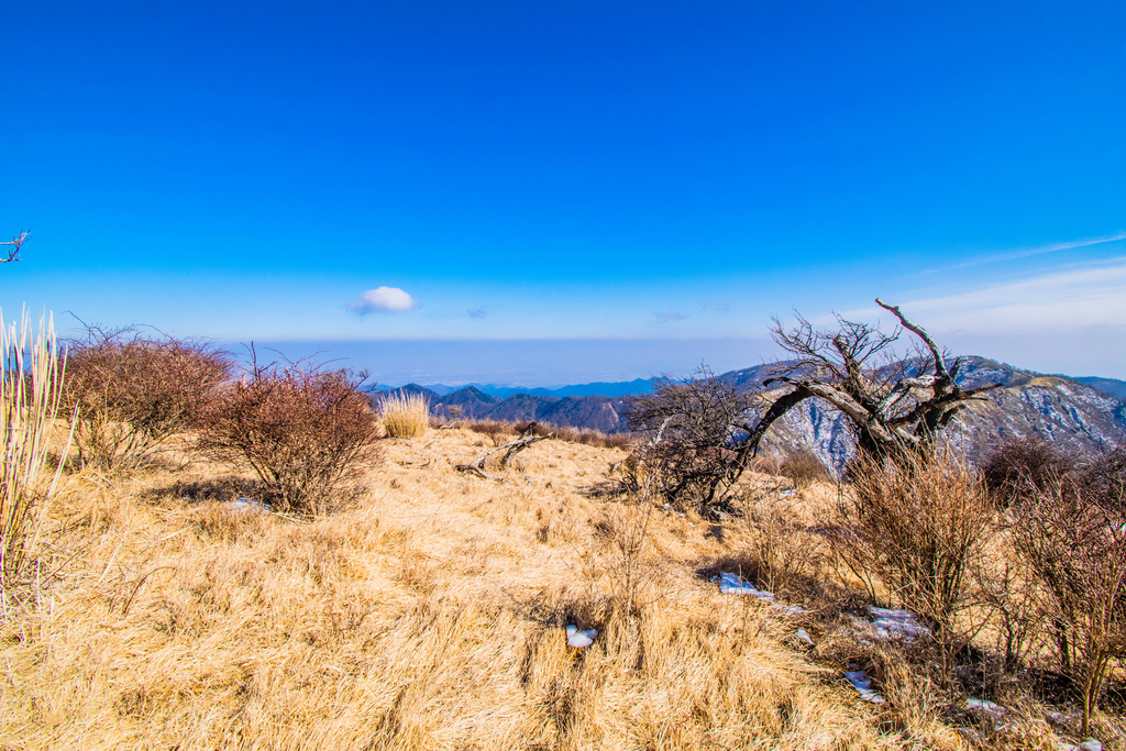 f:id:donPsato:20190221143337j:plain f:id:donPsato:20190221143337j:plain