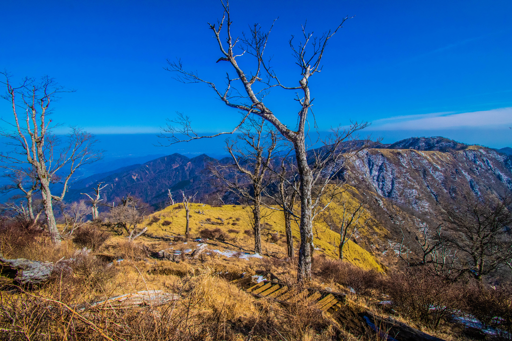f:id:donPsato:20190221143558j:plain f:id:donPsato:20190221143558j:plain
