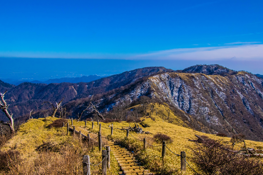 f:id:donPsato:20190221143636j:plain f:id:donPsato:20190221143636j:plain