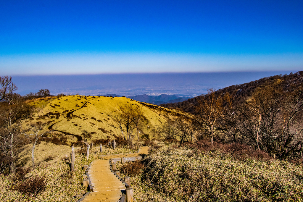 f:id:donPsato:20190221144212j:plain f:id:donPsato:20190221144212j:plain