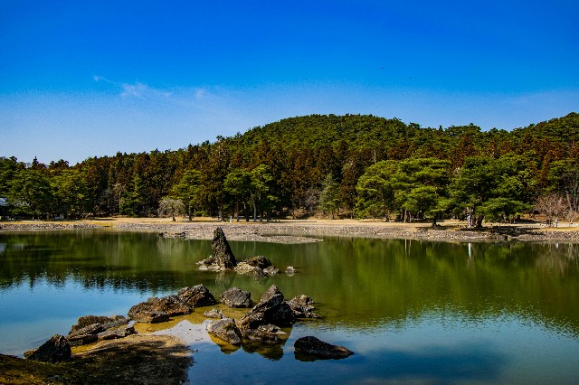 f:id:donPsato:20190322203724j:image f:id:donPsato:20190322203724j:image