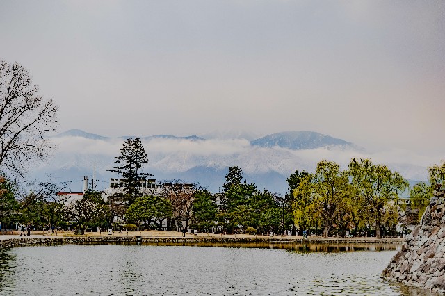 f:id:donPsato:20190330105518j:image f:id:donPsato:20190330105518j:image