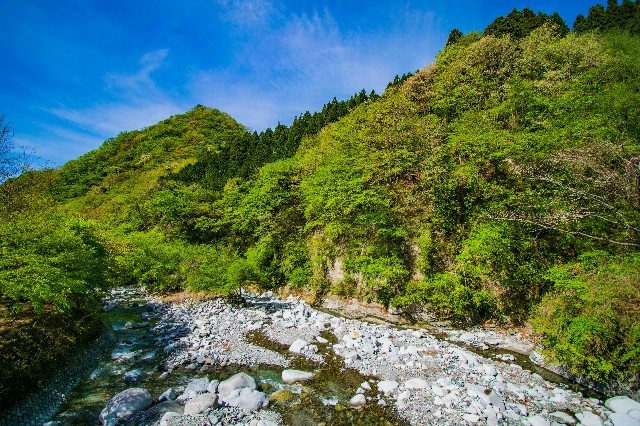 f:id:donPsato:20190428204155j:image f:id:donPsato:20190428204155j:image