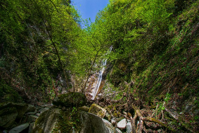f:id:donPsato:20190428204516j:image f:id:donPsato:20190428204516j:image