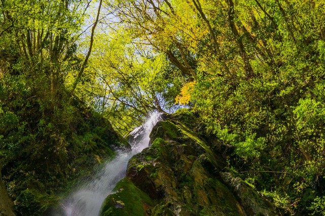 f:id:donPsato:20190428204719j:image f:id:donPsato:20190428204719j:image