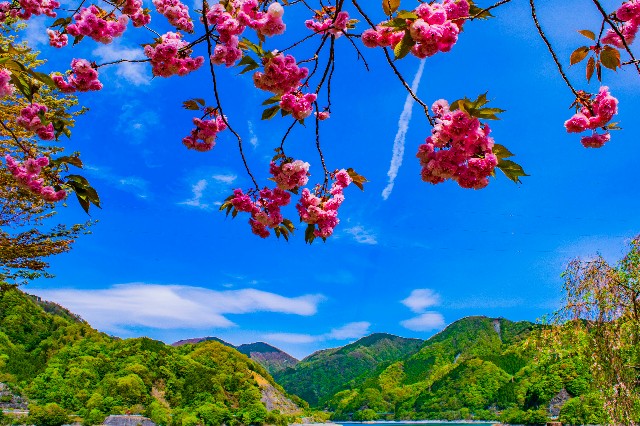 f:id:donPsato:20190428210320j:image f:id:donPsato:20190428210320j:image