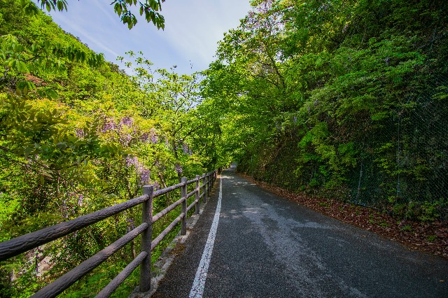 f:id:donPsato:20190505192516j:image f:id:donPsato:20190505192516j:image
