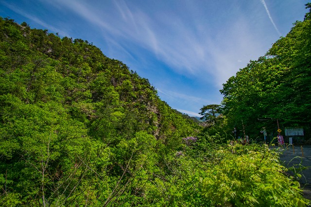 f:id:donPsato:20190505192536j:image f:id:donPsato:20190505192536j:image