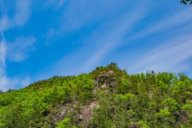 f:id:donPsato:20190505192547j:image f:id:donPsato:20190505192547j:image