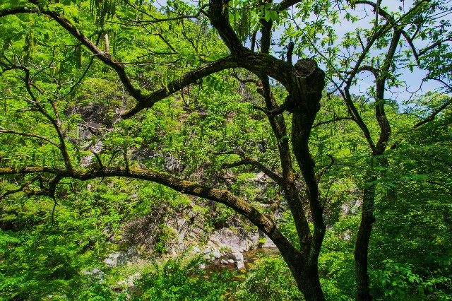 f:id:donPsato:20190505192557j:image f:id:donPsato:20190505192557j:image