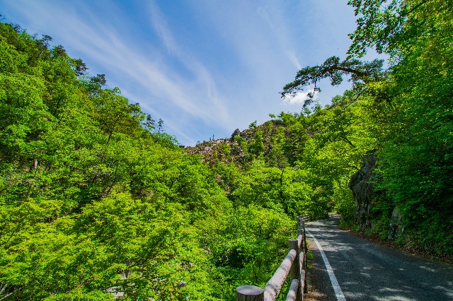 f:id:donPsato:20190505192632j:image f:id:donPsato:20190505192632j:image
