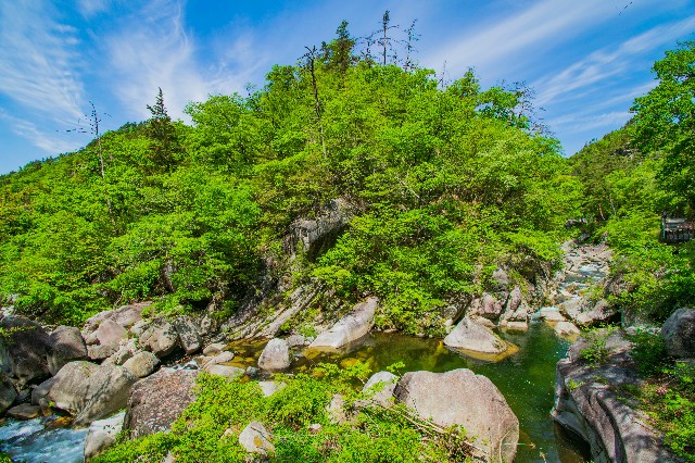 f:id:donPsato:20190505192723j:image f:id:donPsato:20190505192723j:image