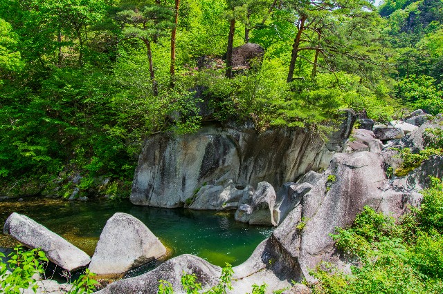 f:id:donPsato:20190505192738j:image f:id:donPsato:20190505192738j:image
