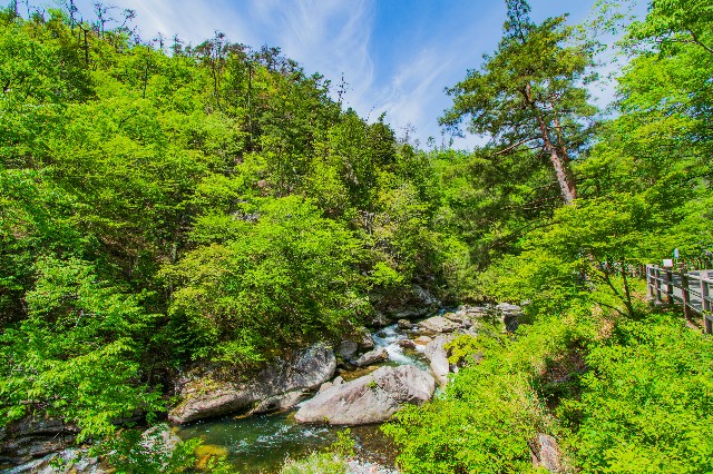 f:id:donPsato:20190505192757j:image f:id:donPsato:20190505192757j:image