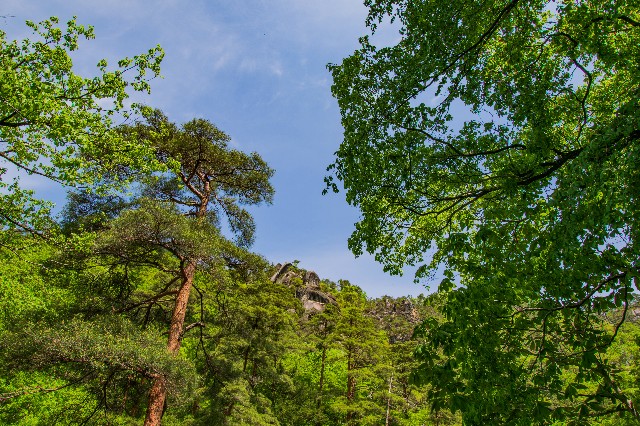 f:id:donPsato:20190505192834j:image f:id:donPsato:20190505192834j:image