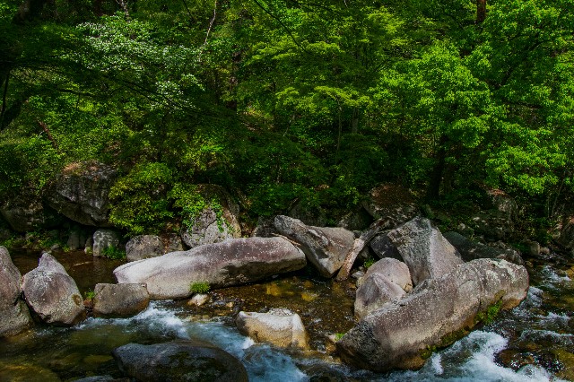 f:id:donPsato:20190505192903j:image f:id:donPsato:20190505192903j:image