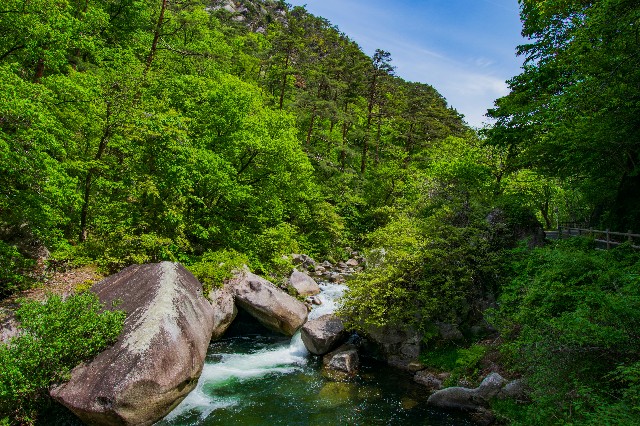 f:id:donPsato:20190505192919j:image f:id:donPsato:20190505192919j:image